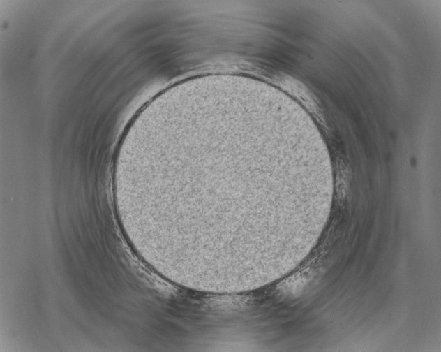 X0000068260950200605191759