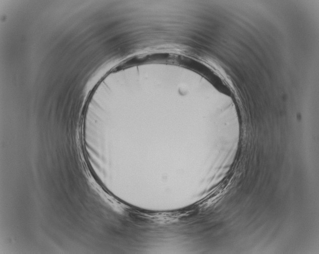 X0000068260952200605191759