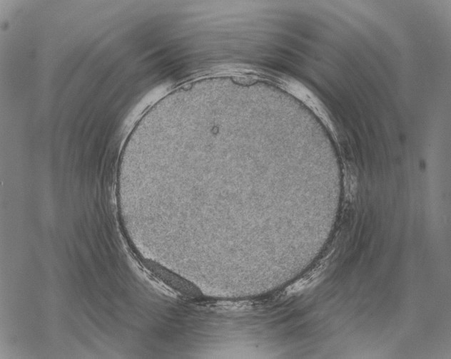 X0000068260954200605191759