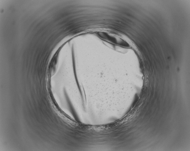 X0000068260955200605191759