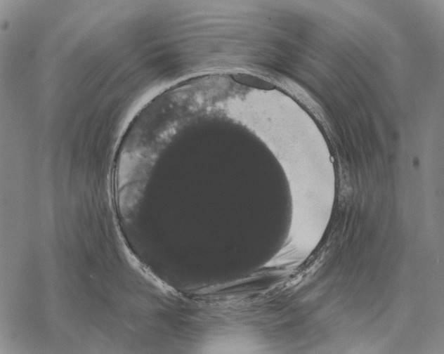 X0000068260958200605191759