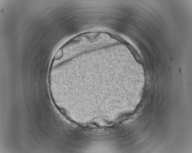 X0000068260959200605191800