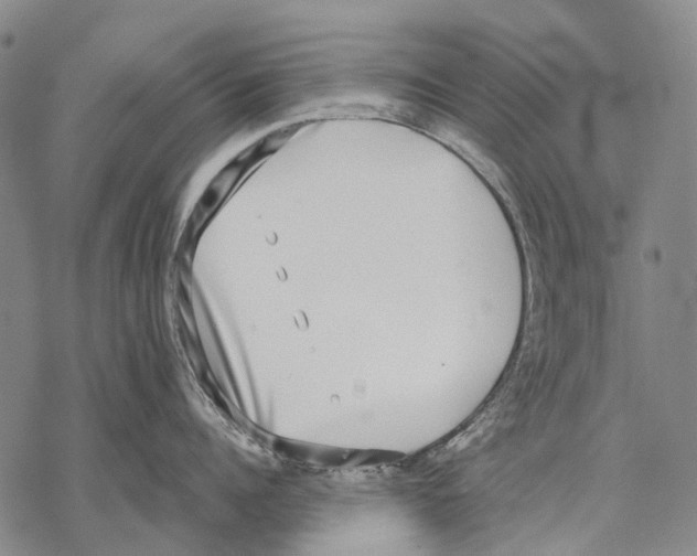 X0000068260960200605191800