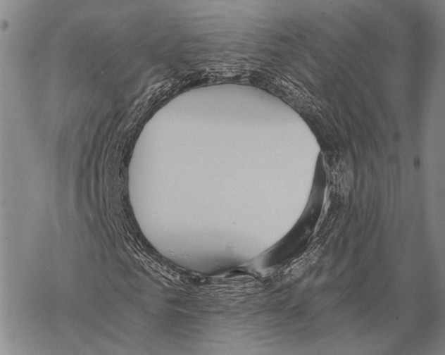 X0000068260961200605191759