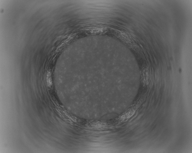 X0000068260962200605191759