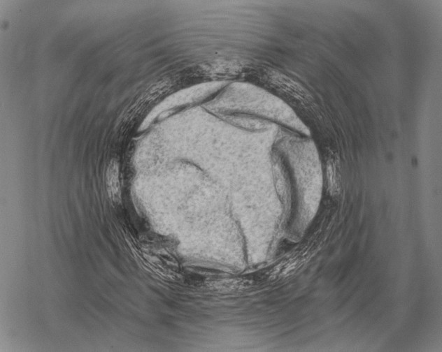 X0000068260963200605191759