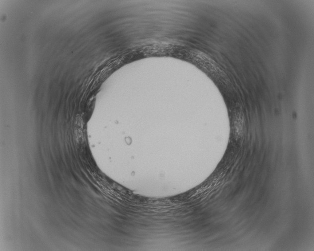 X0000068260964200605191759