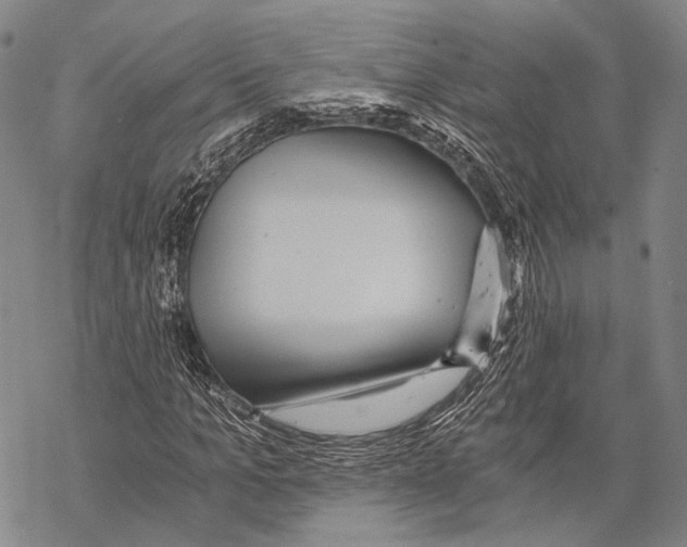 X0000068260965200605191759