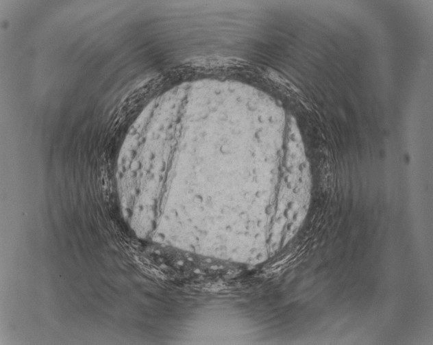 X0000068260966200605191759