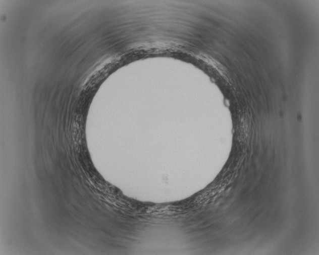 X0000068260967200605191759