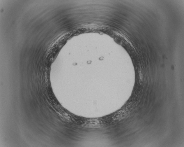 X0000068260968200605191759