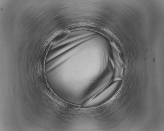 X0000068260969200605191759