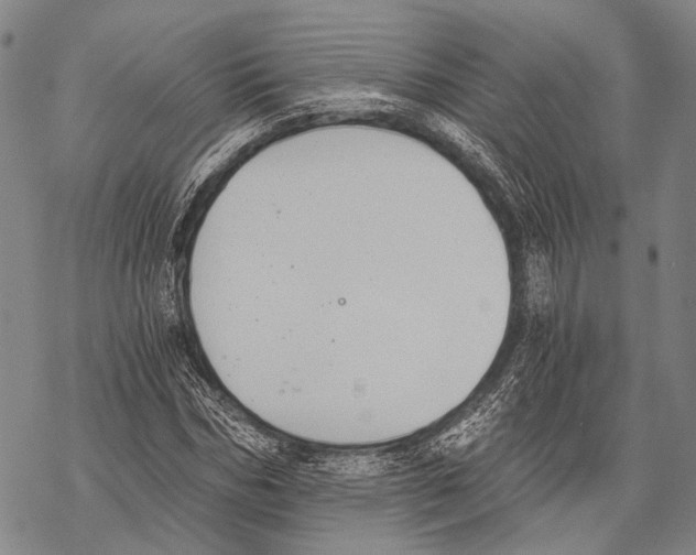 X0000068260970200605191759