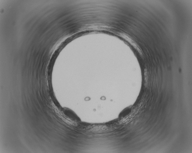 X0000068260972200605191759