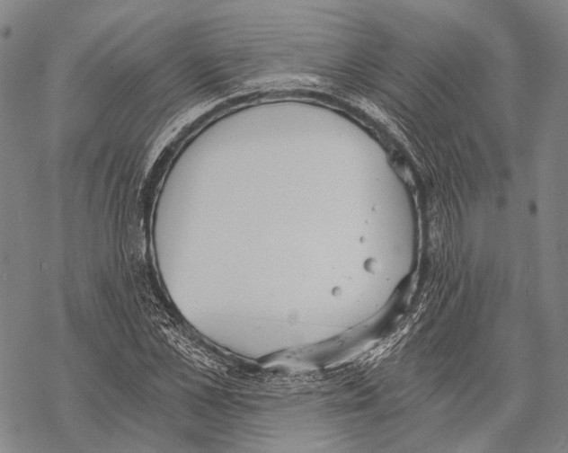 X0000068260973200605191759