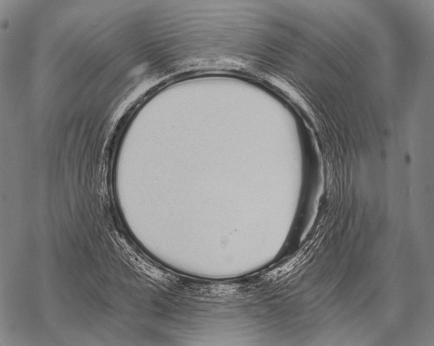 X0000068260975200605191759