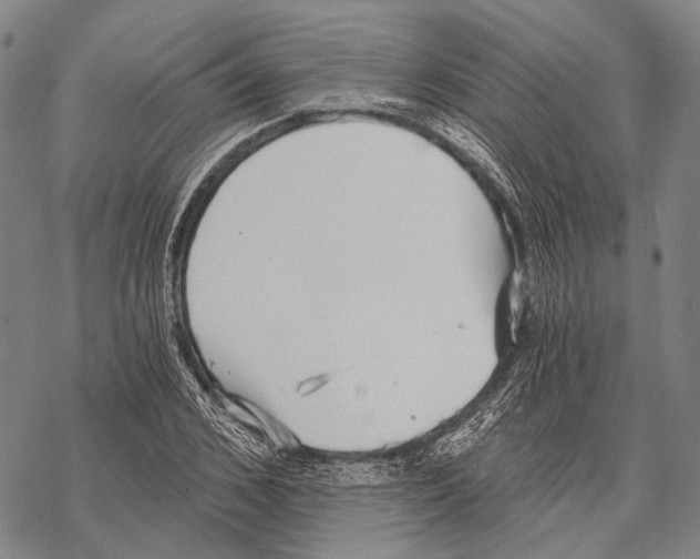 X0000068260976200605191758