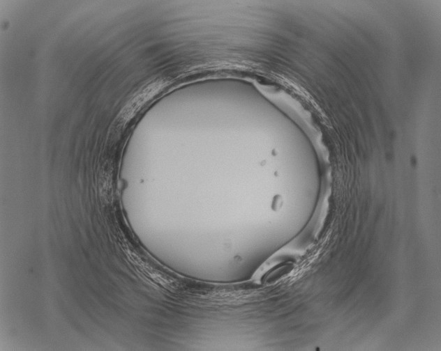 X0000068260977200605191758