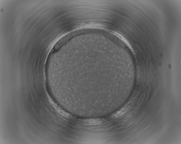 X0000068260980200605191758