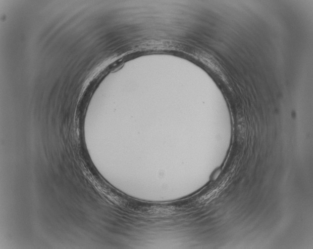 X0000068260981200605191758