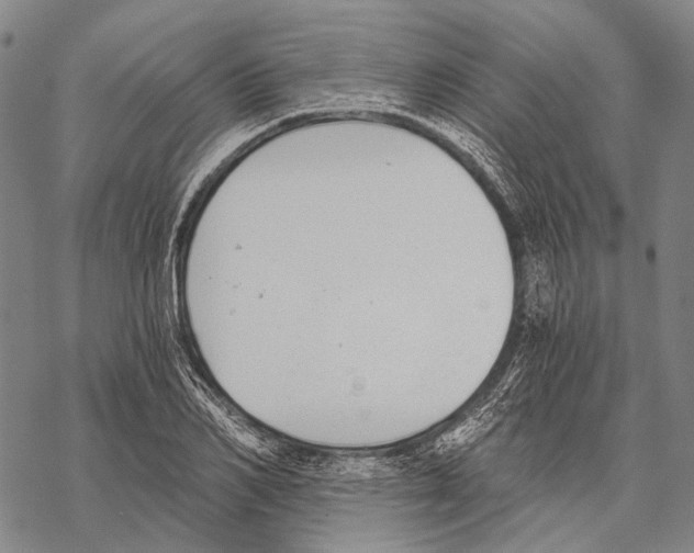 X0000068260982200605191758