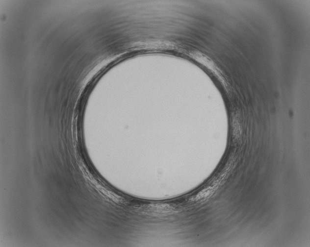 X0000068260983200605191758