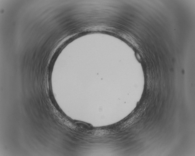 X0000068260984200605191758