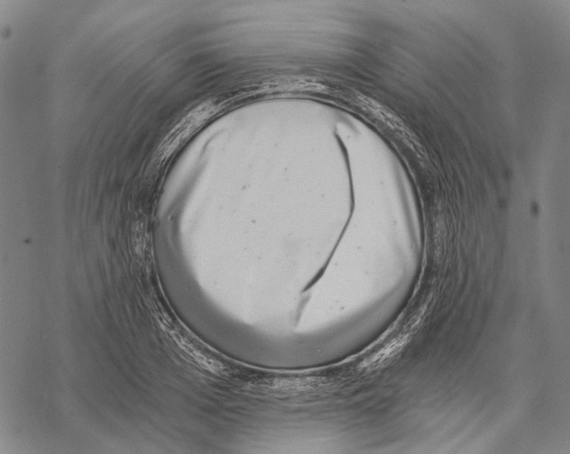 X0000068260985200605191758