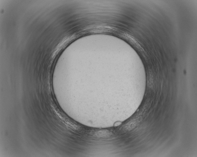 X0000068260986200605191758