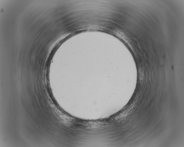 X0000068260987200605191758