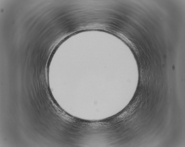 X0000068260988200605191758