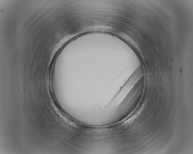 X0000068260989200605191758