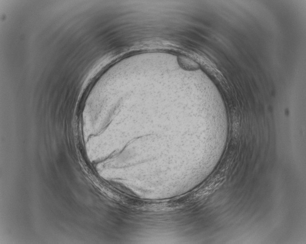 X0000068260990200605191758