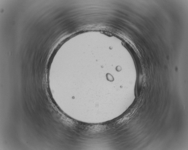 X0000068260992200605191758