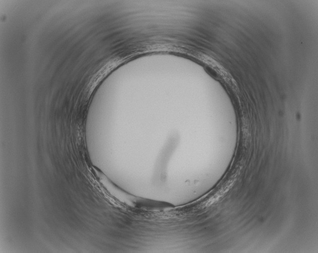 X0000068260993200605191758