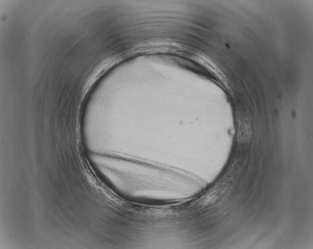 X0000068260994200605191758