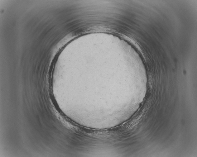 X0000068260995200605191758