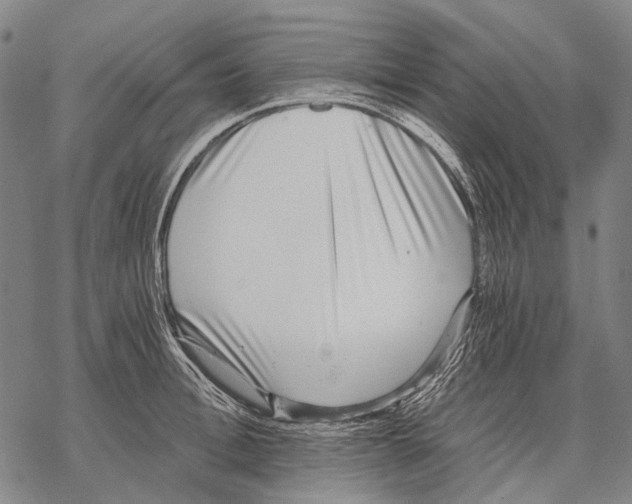 X0000068260996200605191758