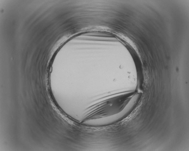 X0000068260997200605191758