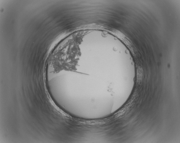 X0000068260998200605191758