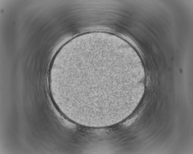 X0000068260999200605191758