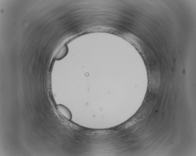 X0000068261000200605191758