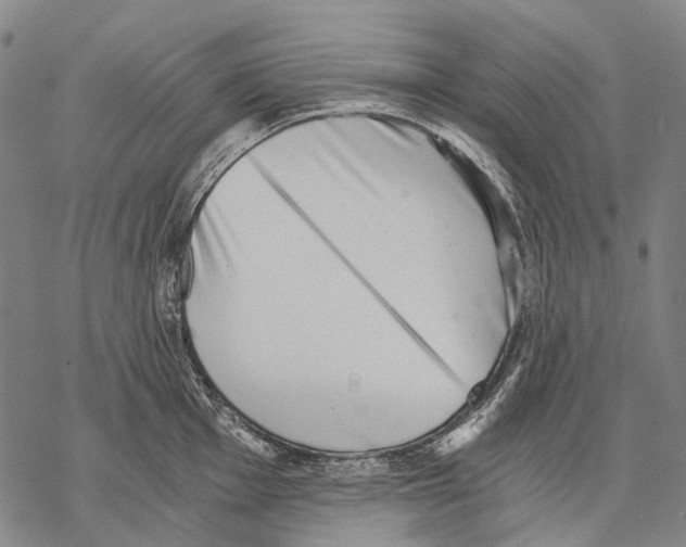 X0000068261001200605191758