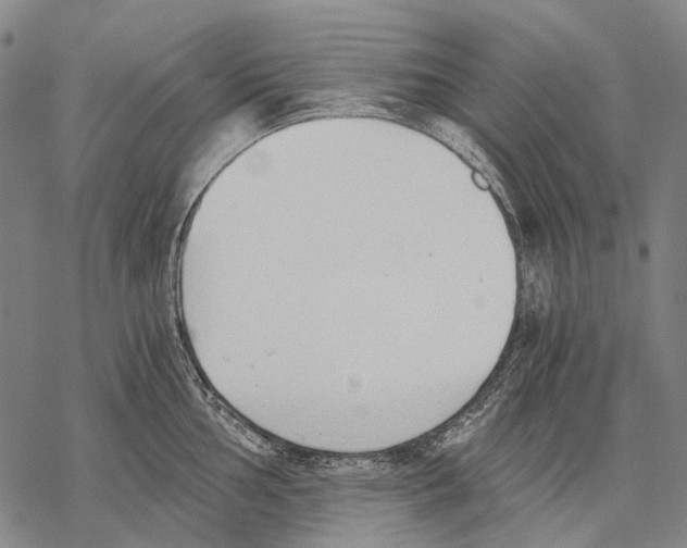 X0000068261002200605191758