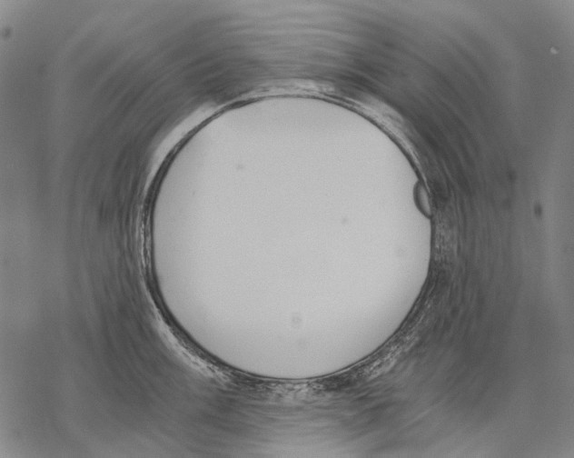 X0000068261003200605191758