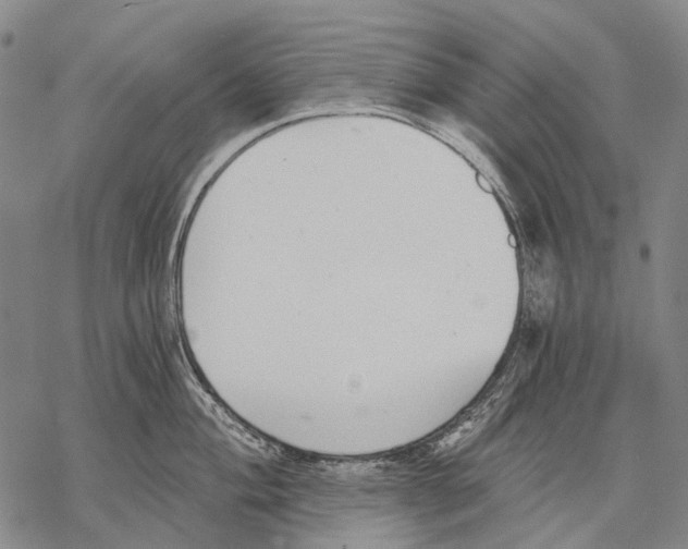 X0000068261004200605191758