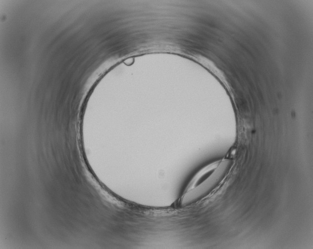 X0000068261005200605191758