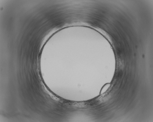 X0000068261006200605191758