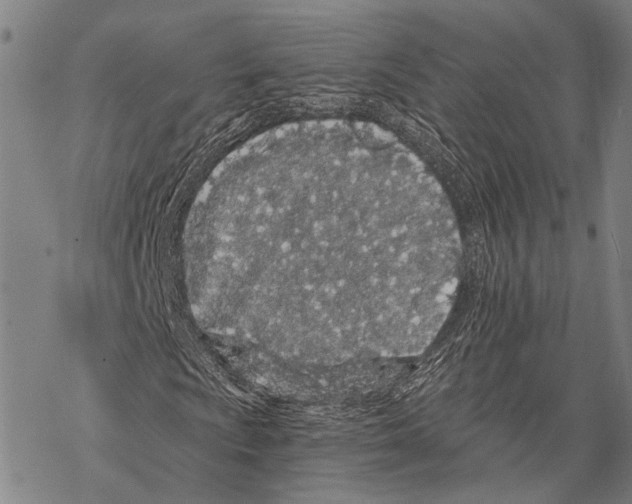 X0000068261009200605191757