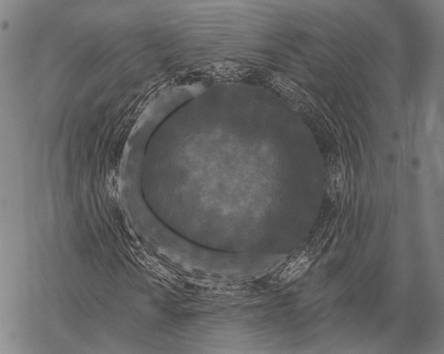 X0000068261010200605191757